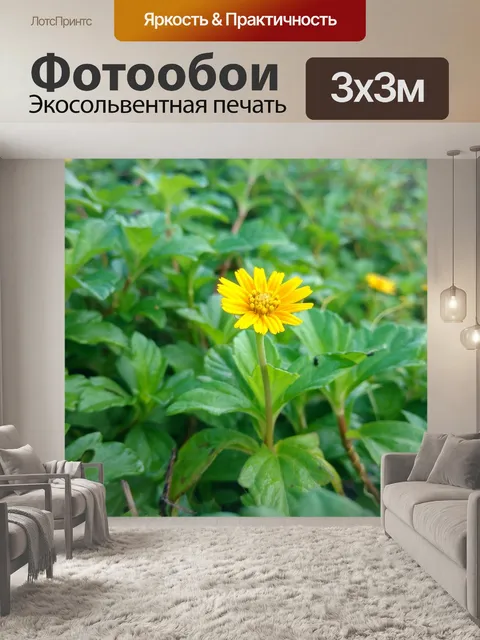 Фотообои Цветок