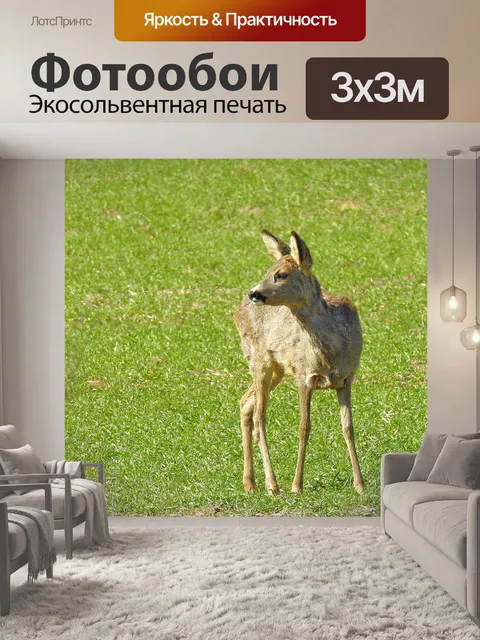 Фотообои Животные