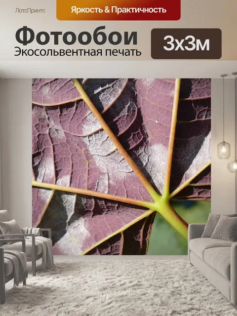 Фотообои Лист