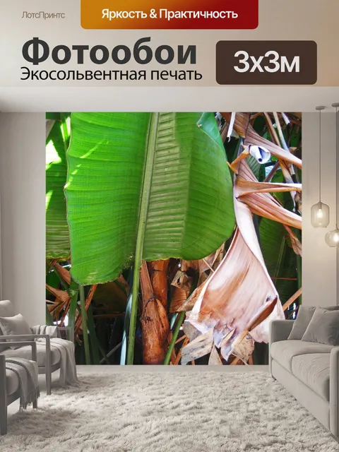 Фотообои большой зеленый тропический лист