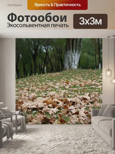 Фотообои Кленовый лист листья