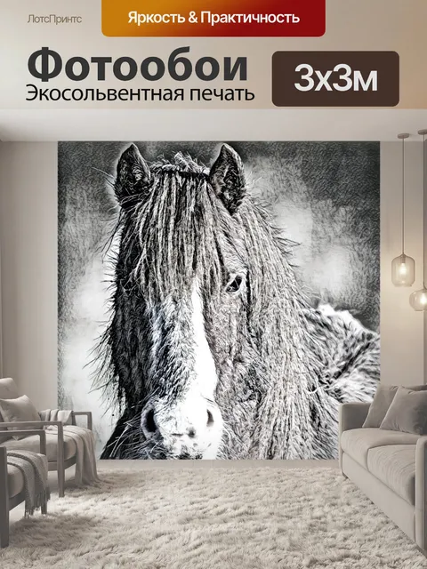 Фотообои голова лошади