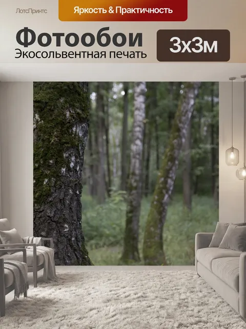 Фотообои Лес