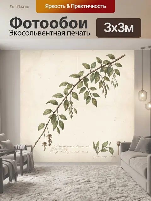 Фотообои Ботаническая ветка с листьями