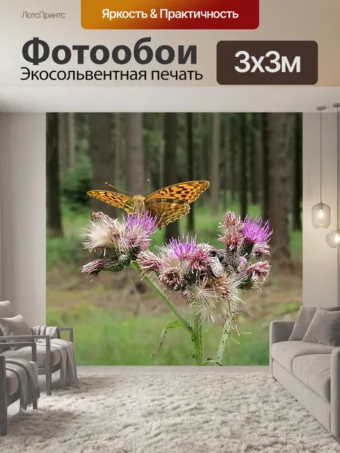 Фотообои Бабочка