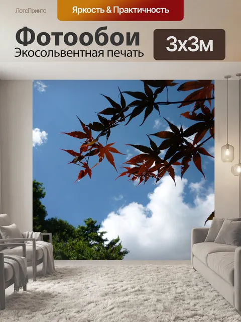 Фотообои Небо