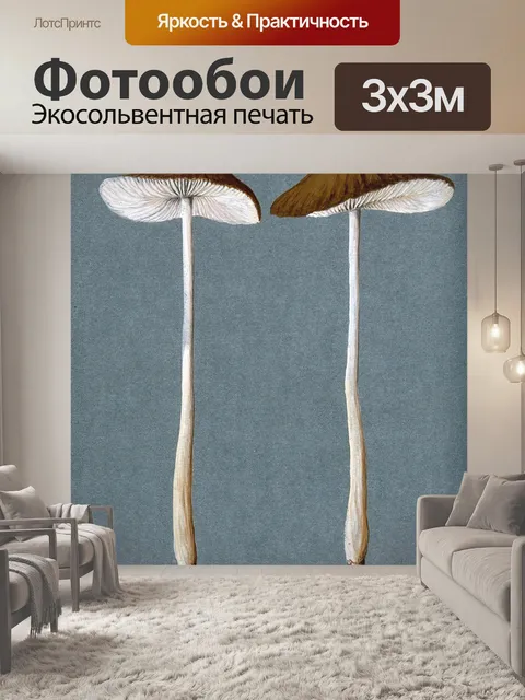 Фотообои Винтажная иллюстрация чемпиона грибов