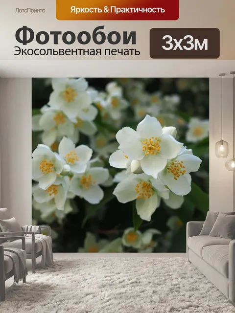 Фотообои Цветы