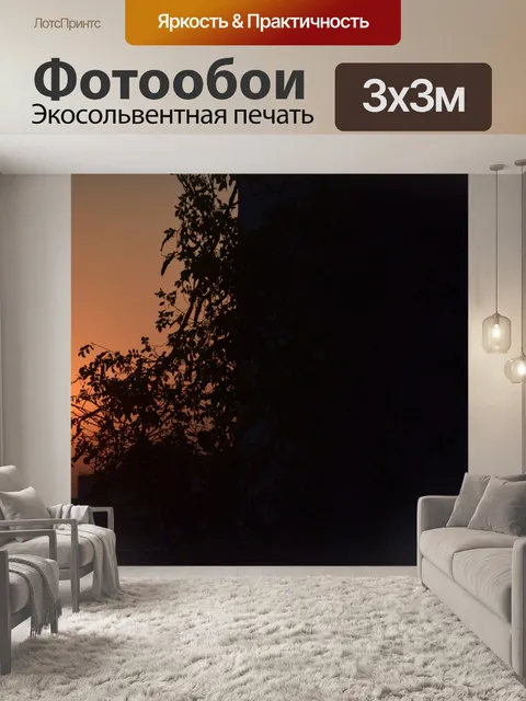 Фотообои Закат силуэт 1
