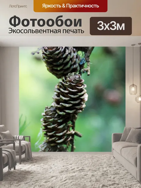 Фотообои Лес