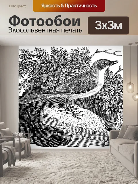 Фотообои Малая завязь