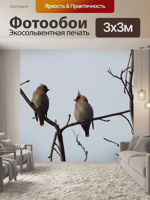 Фотообои Птицы