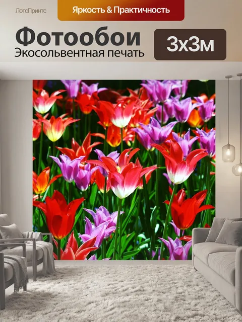 Фотообои Восторжествует тюльпаны