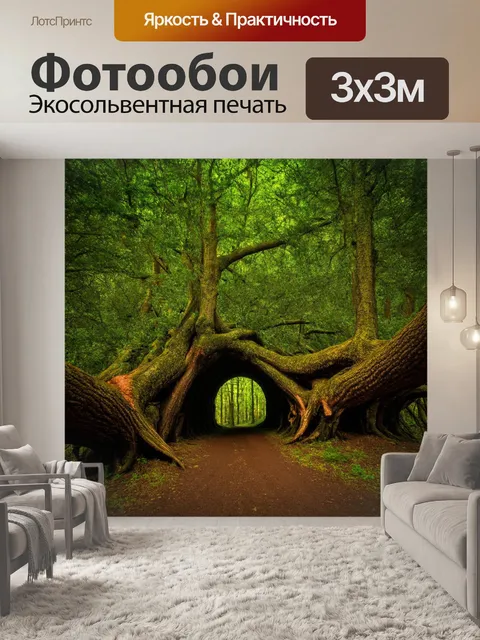 Фотообои глубокий лес с старинными деревьями, образующими естественный тоннель