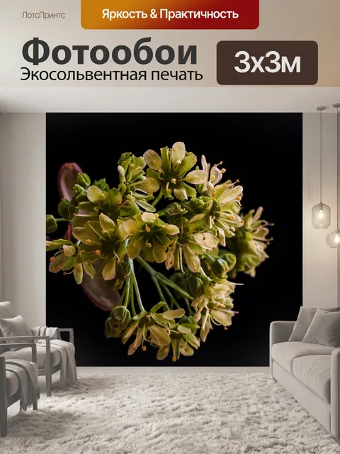 Фотообои Цветы