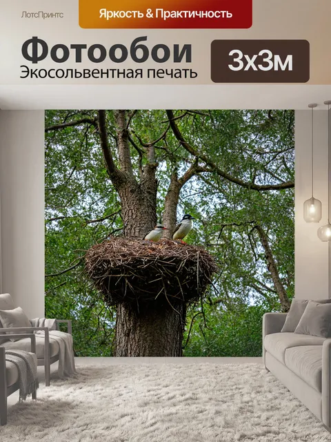 Фотообои птичьи норы, окружающие густые деревья, натуральная среда
