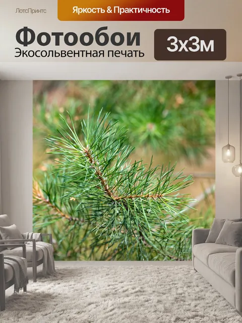 Фотообои лес