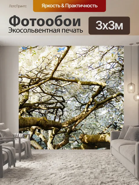 Фотообои Деревья