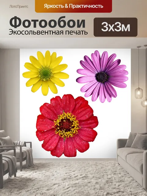Фотообои Изолированные цветок Клипарт