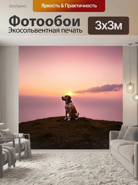 Фотообои лабрадор, наблюдающий за восходом солнца на вершине холма, с облаками, подсвеченными розовым и оранжевым…