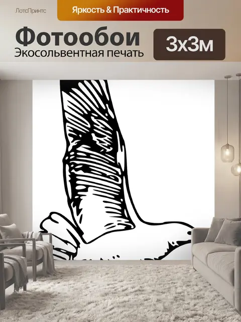 Фотообои Чайка
