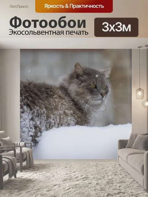 Фотообои Кошка