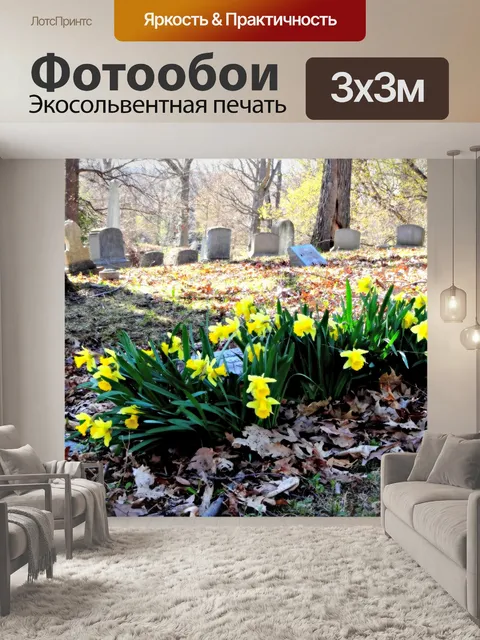 Фотообои Кладбище Нарциссы