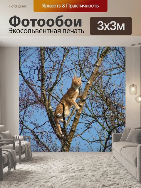 Фотообои Кошка