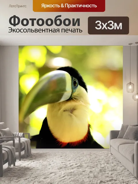 Фотообои Тукан