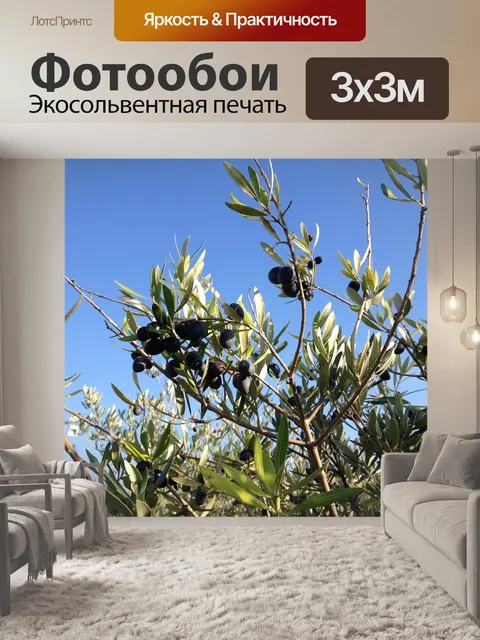 Фотообои Ветка оливы