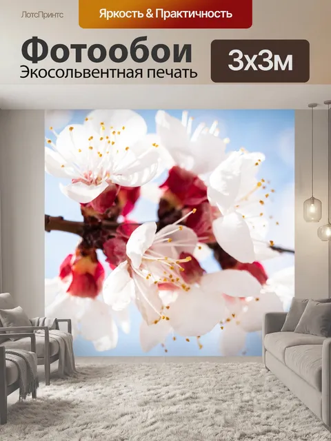 Фотообои Цветок