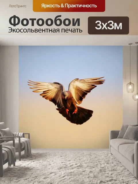 Фотообои Птица