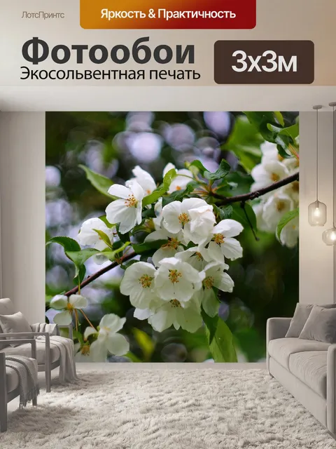 Фотообои Цветы