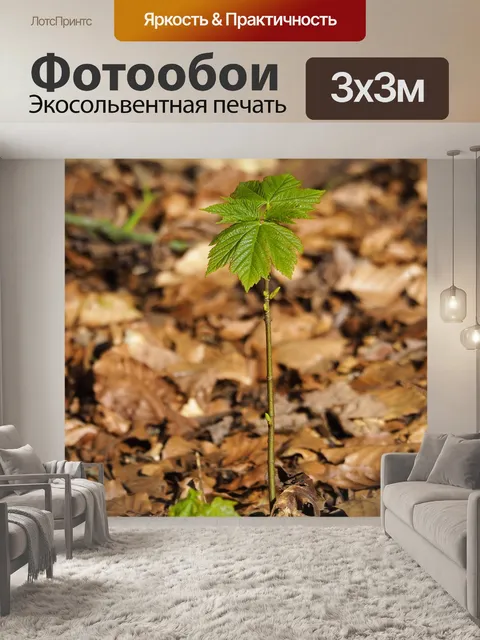 Фотообои Природа