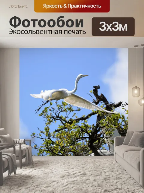 Фотообои Большая белая цапля летающих