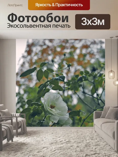 Фотообои Открытый