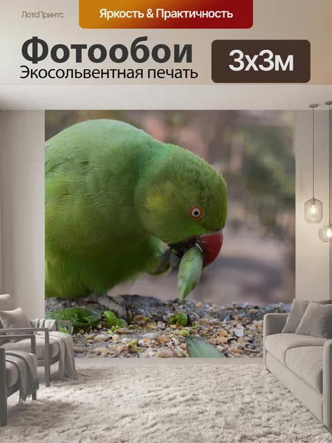 Фотообои Птицы