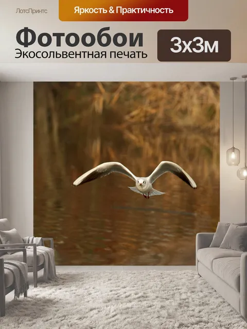 Фотообои Птицы