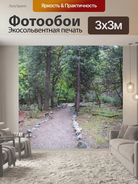 Фотообои Калифорния Лесная тропа