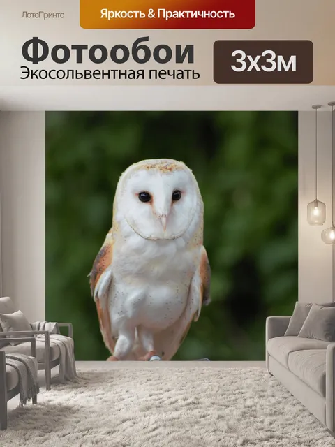 Фотообои Птица