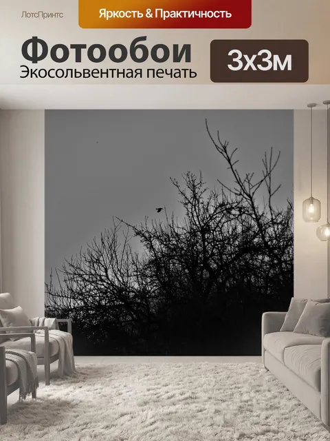Фотообои Темный