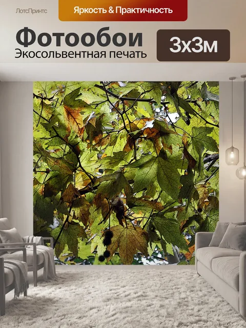 Фотообои Лист Навес фон
