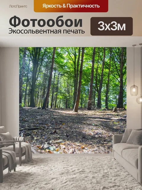 Фотообои лес