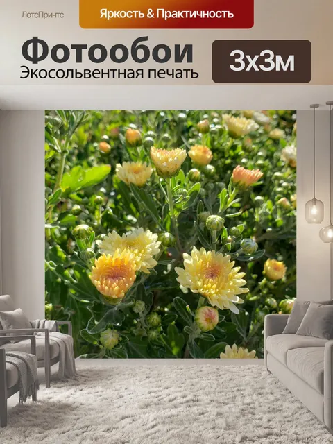 Фотообои Желтые и белые цветы