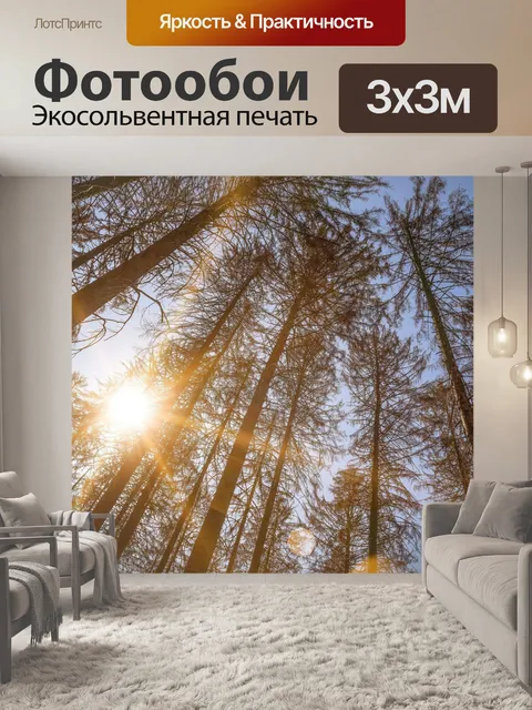 Фотообои Деревья