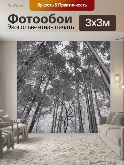 Фотообои Зимний лес