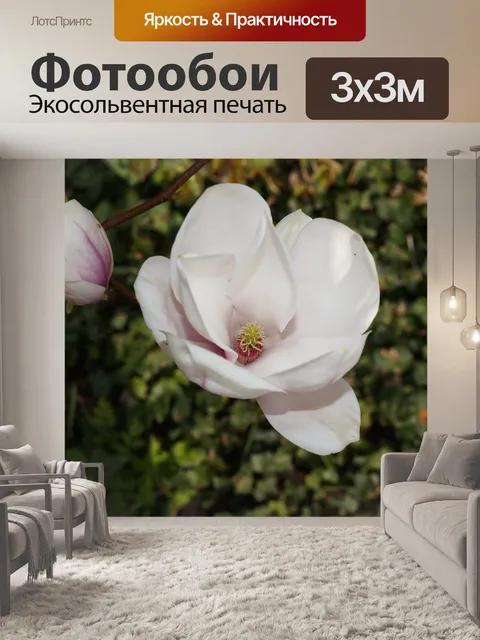Фотообои Тюльпанное дерево