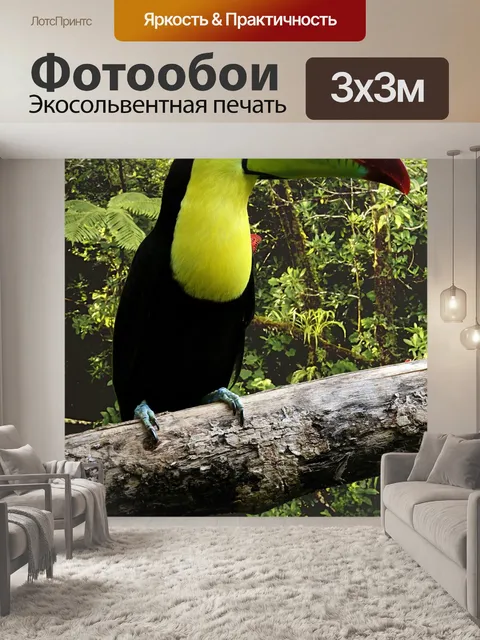 Фотообои Птица