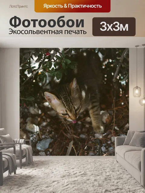 Фотообои Животное