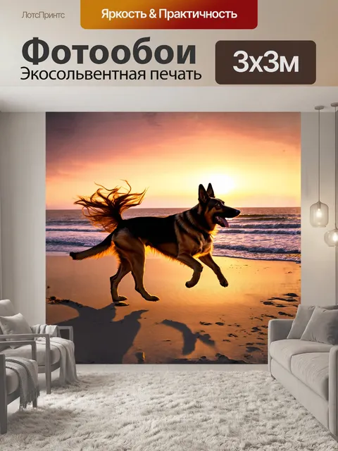 Фотообои вечером немецкая овчарка пробегает по пустынному пляжу, её силуэт темнеет на фоне закатных красок